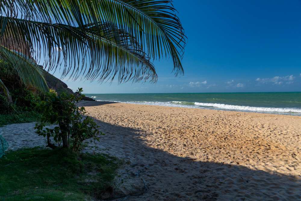 Setembro é o mês mais barato pra conhecer o litoral de Alagoas e Pernambuco